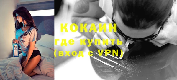 сатива Елабуга