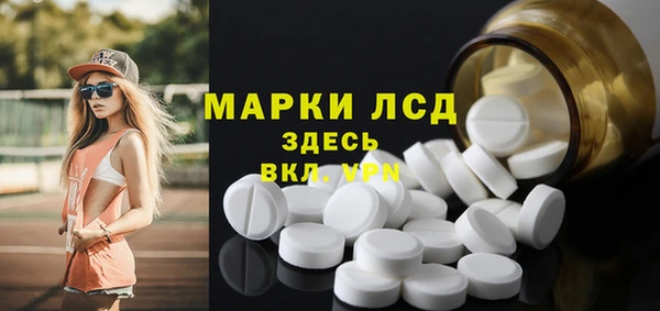сатива Елабуга