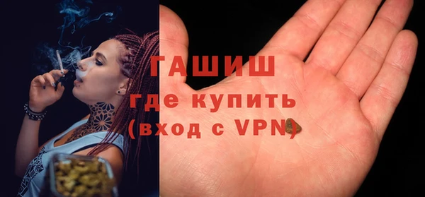 сатива Елабуга