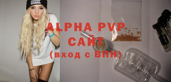 сатива Елабуга