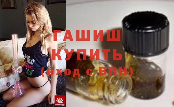 сатива Елабуга